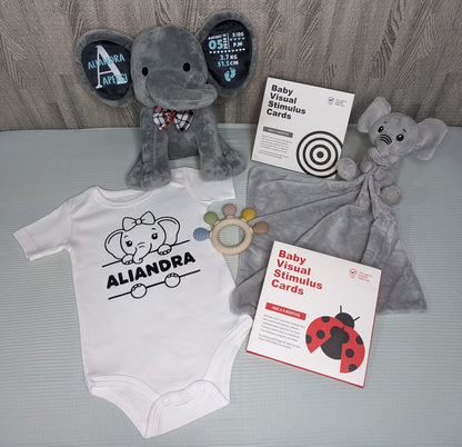 Tiny Firsts Bundle