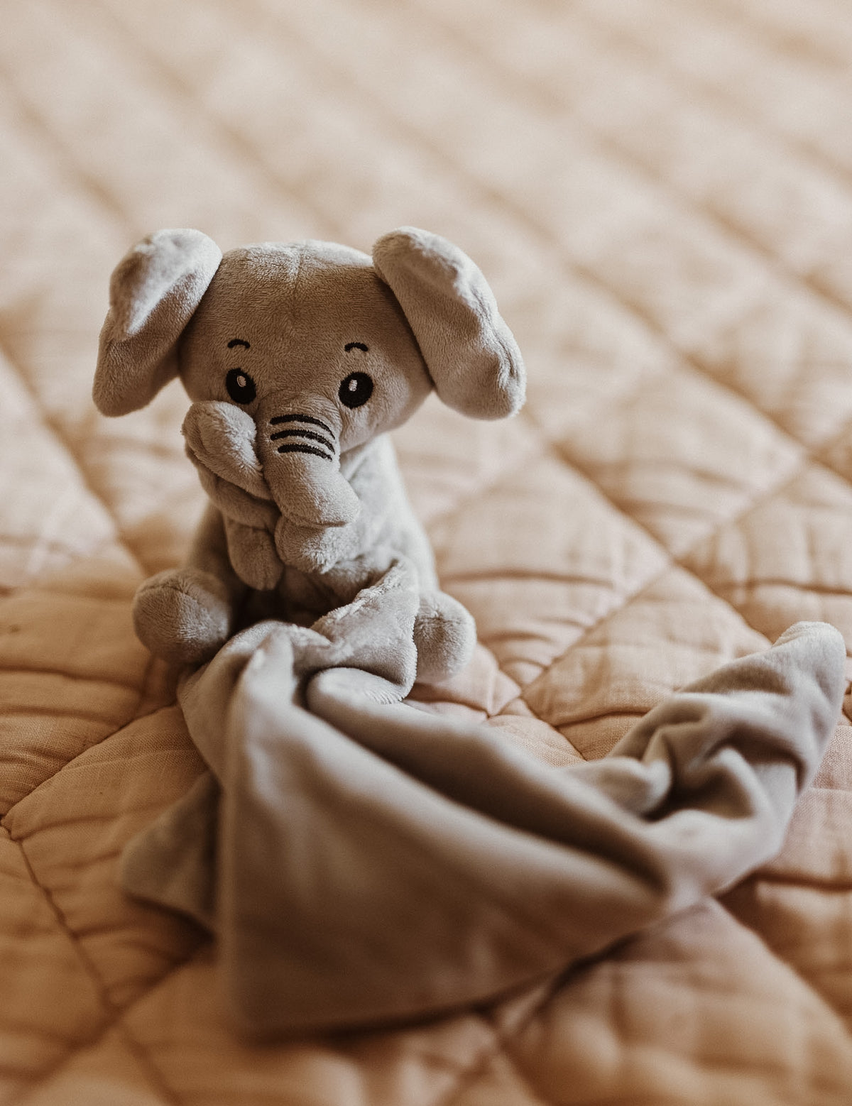 Adorable elephant comforter, part of the Tiny Firsts Bundle keepsake set